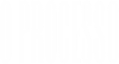 O Processo